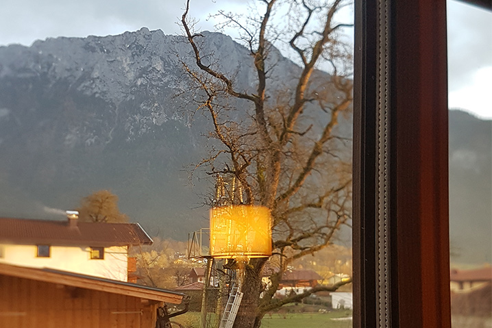 Ferienwohnung Tirol privat Almrausch Aussicht aus dem Fenster